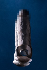 00801a07c7aaf1fad962d4cd5cca5c86