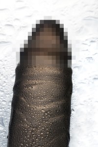 2a152ba4399513501ebedcc9254bb255