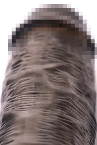 3e36ea9830e1de6e0e97203ca1b7c9ff