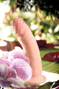 76b156f4c0b2688b84c2dad500b06f1e