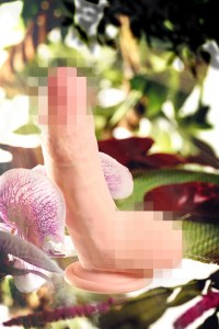 9175f9647a45c838c579ac01d9230637