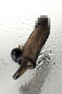 c4c722c4654517e8b92988fef517ac2c